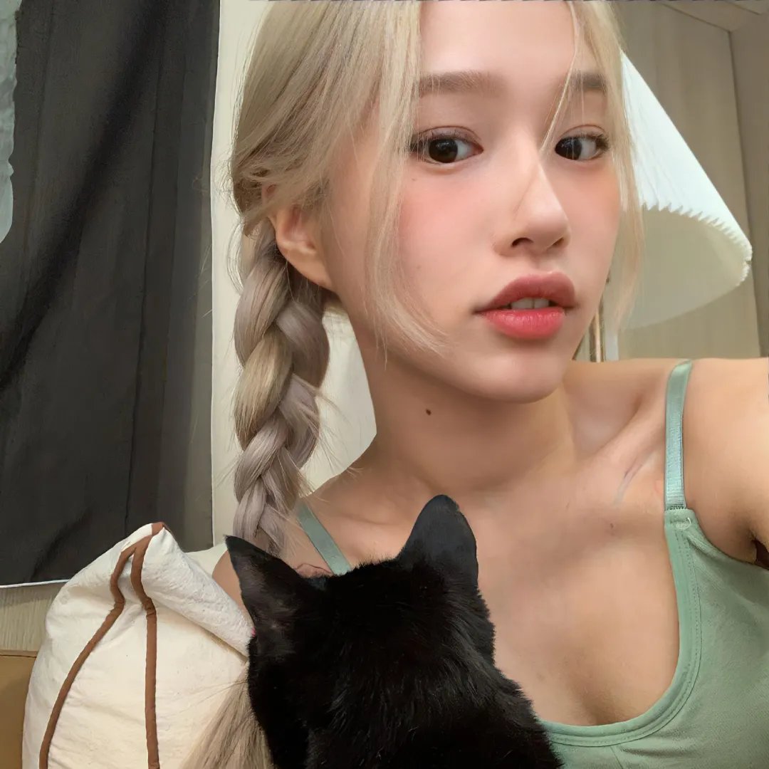 爱猫之城 在线观看